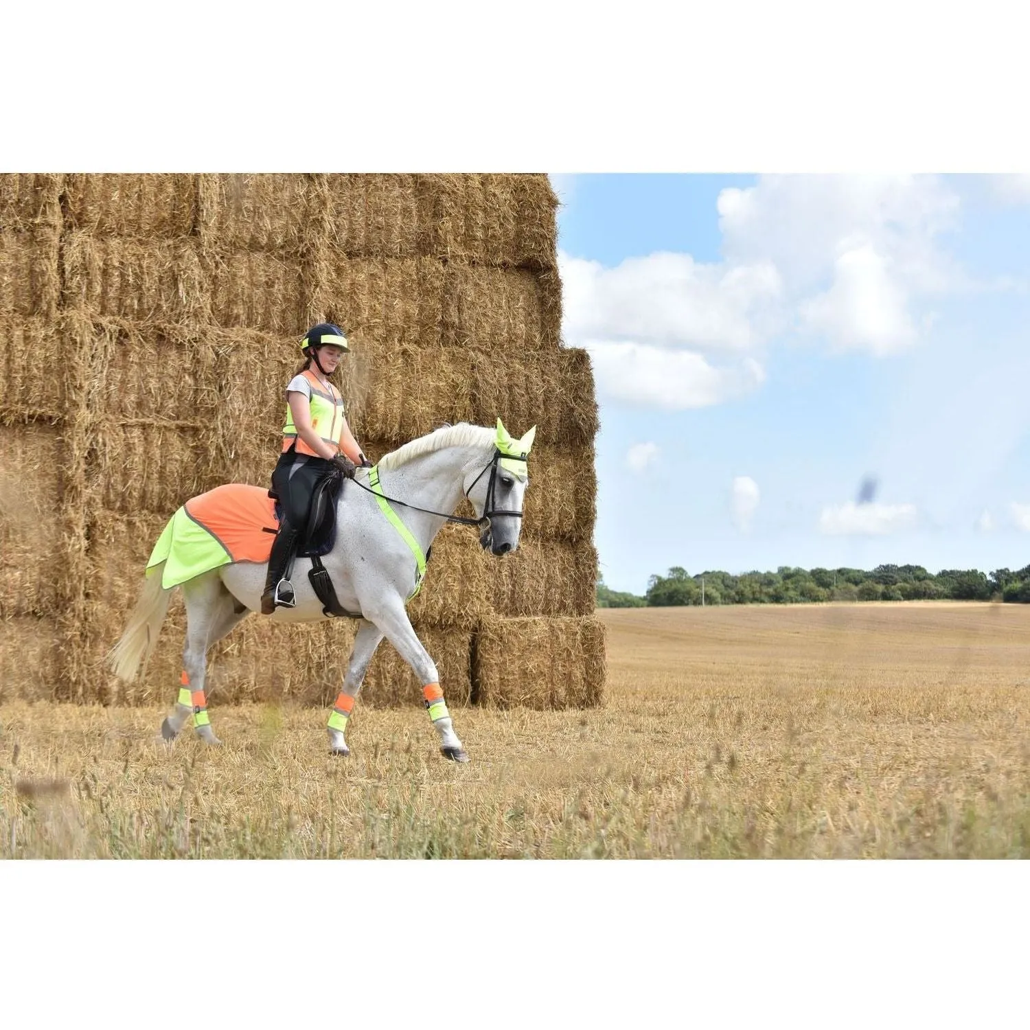 Equisafety Multi Coloured Waterproof Hi Viz Horse Sheet - Pink/Orange